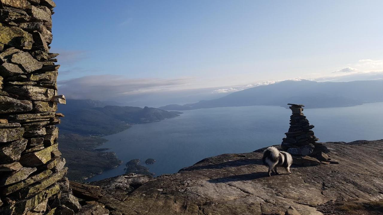 Funkis-cabin In With Fantastic Fjordview