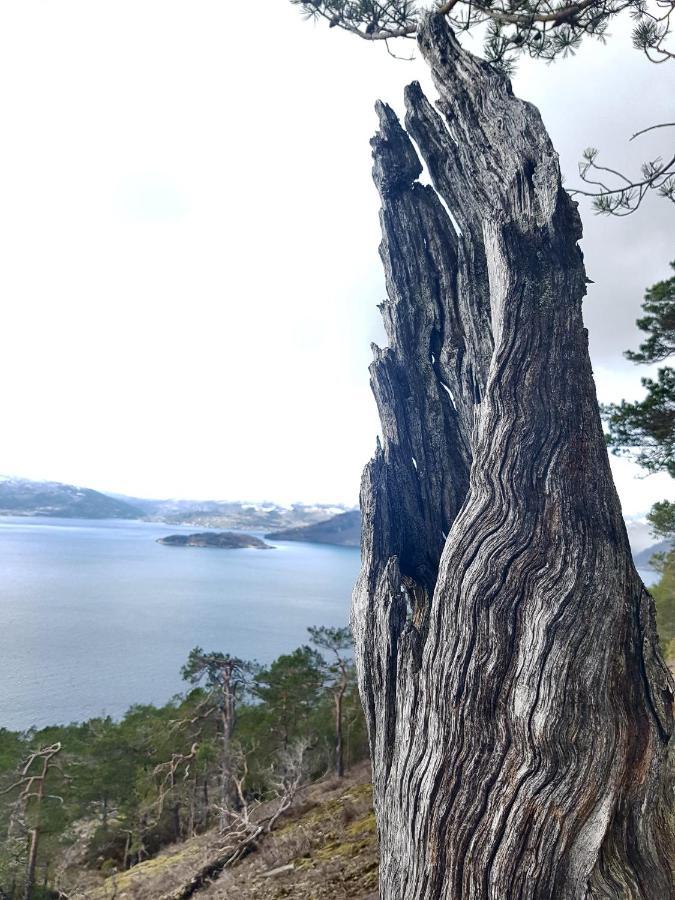 Funkis-cabin In With Fantastic Fjordview Appartement